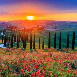 $20 Unlisted Item 🎉Yay! CONGRATS!🎉 No Cancellations 😉